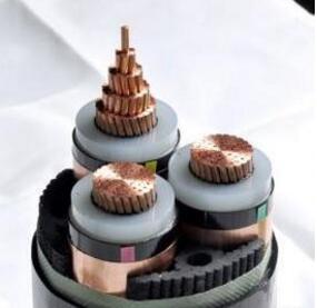 201703151007306416 201703151007306416