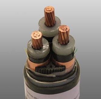 201703151359354779 201703151359354779