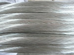 ɳ��������(�й�)�ٷ���վ -APP����