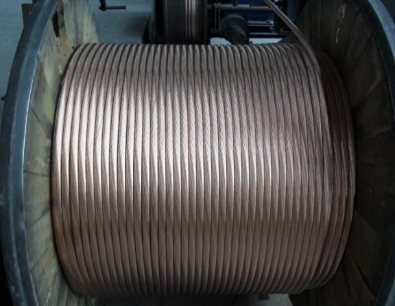 ɳ��������(�й�)�ٷ���վ -APP����