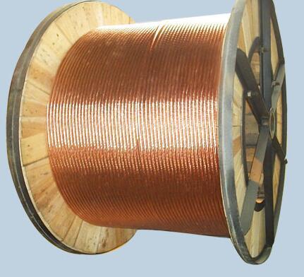 ɳ��������(�й�)�ٷ���վ -APP����