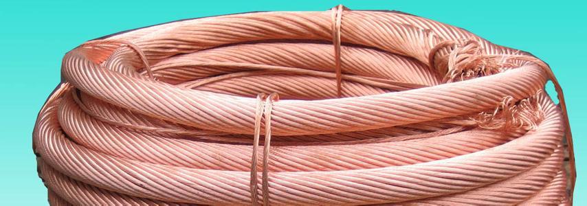 ɳ��������(�й�)�ٷ���վ -APP����