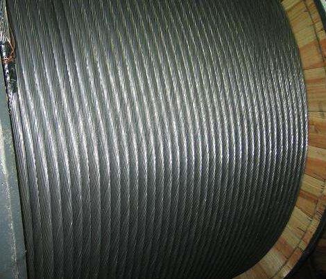 ɳ��������(�й�)�ٷ���վ -APP����