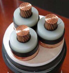 ɳ��������(�й�)�ٷ���վ -APP����