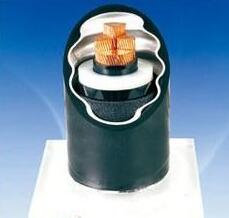 ɳ��������(�й�)�ٷ���վ -APP����