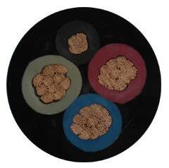 ɳ��������(�й�)�ٷ���վ -APP����