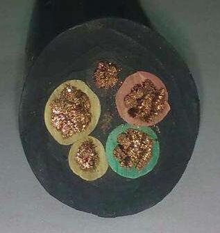 ɳ��������(�й�)�ٷ���վ -APP����