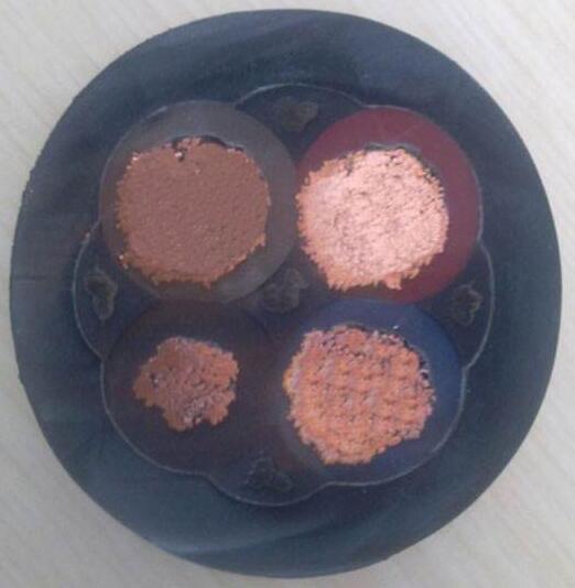 ɳ��������(�й�)�ٷ���վ -APP����