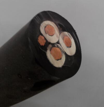 ɳ��������(�й�)�ٷ���վ -APP����