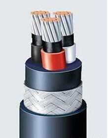 ɳ��������(�й�)�ٷ���վ -APP����