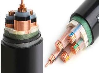 ɳ��������(�й�)�ٷ���վ -APP����