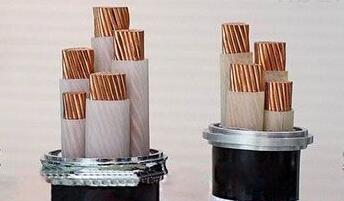 ɳ��������(�й�)�ٷ���վ -APP����