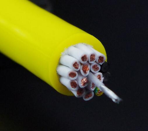 ɳ��������(�й�)�ٷ���վ -APP����