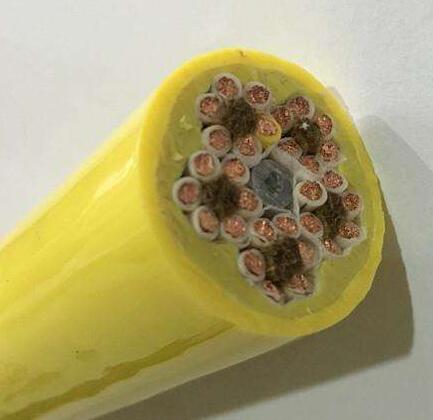 ɳ��������(�й�)�ٷ���վ -APP����