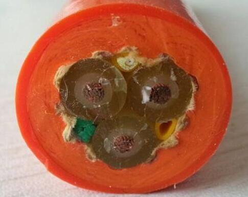 ɳ��������(�й�)�ٷ���վ -APP����