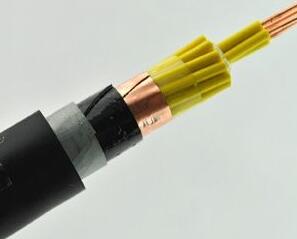 ɳ��������(�й�)�ٷ���վ -APP����