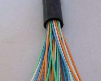 ɳ��������(�й�)�ٷ���վ -APP����