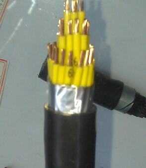 ɳ��������(�й�)�ٷ���վ -APP����