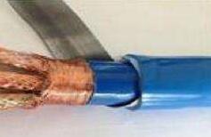 ɳ��������(�й�)�ٷ���վ -APP����