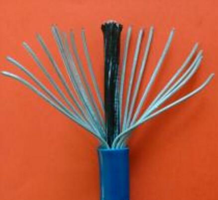 ɳ��������(�й�)�ٷ���վ -APP����