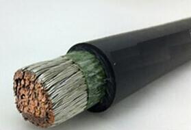 ɳ��������(�й�)�ٷ���վ -APP����