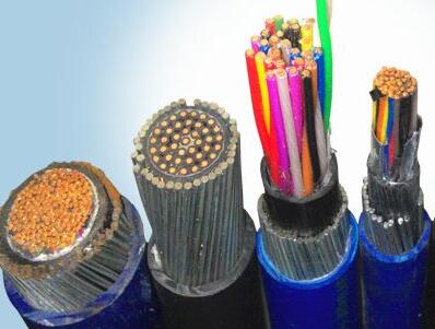 ɳ��������(�й�)�ٷ���վ -APP����