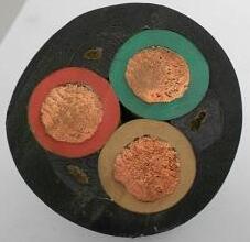 ɳ��������(�й�)�ٷ���վ -APP����