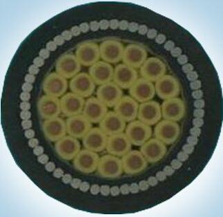 ɳ��������(�й�)�ٷ���վ -APP����