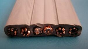 ɳ��������(�й�)�ٷ���վ -APP����