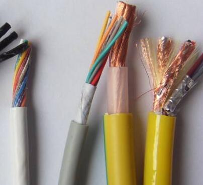 ɳ��������(�й�)�ٷ���վ -APP����