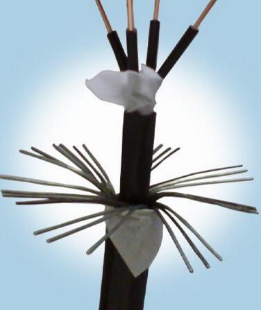 ɳ��������(�й�)�ٷ���վ -APP����