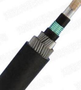 ɳ��������(�й�)�ٷ���վ -APP����