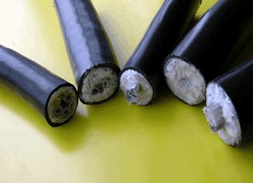 ɳ��������(�й�)�ٷ���վ -APP����