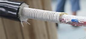 ɳ��������(�й�)�ٷ���վ -APP����