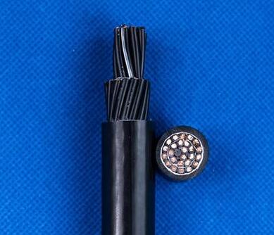 ɳ��������(�й�)�ٷ���վ -APP����