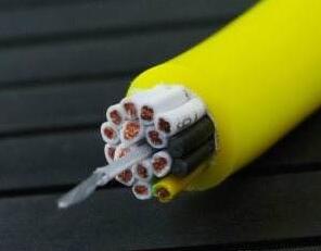 ɳ��������(�й�)�ٷ���վ -APP����