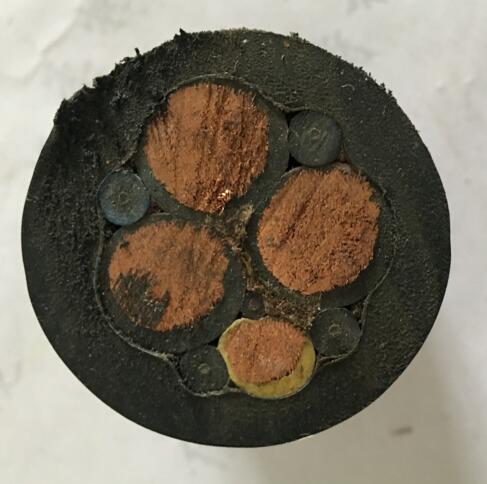 ɳ��������(�й�)�ٷ���վ -APP����