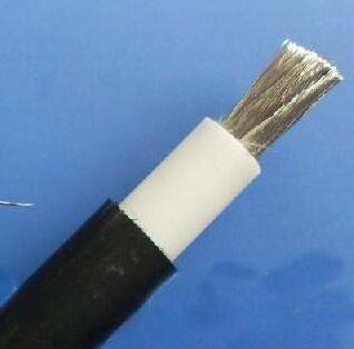 ɳ��������(�й�)�ٷ���վ -APP����