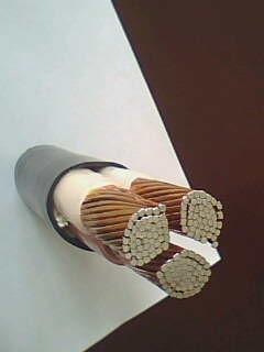 ɳ��������(�й�)�ٷ���վ -APP����