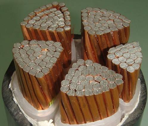 ɳ��������(�й�)�ٷ���վ -APP����