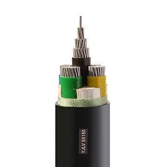 ɳ��������(�й�)�ٷ���վ -APP����