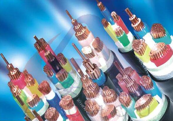 ɳ��������(�й�)�ٷ���վ -APP����