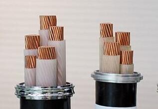 ɳ��������(�й�)�ٷ���վ -APP����