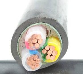 ɳ��������(�й�)�ٷ���վ -APP����