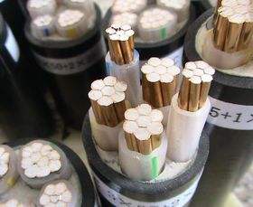 ɳ��������(�й�)�ٷ���վ -APP����