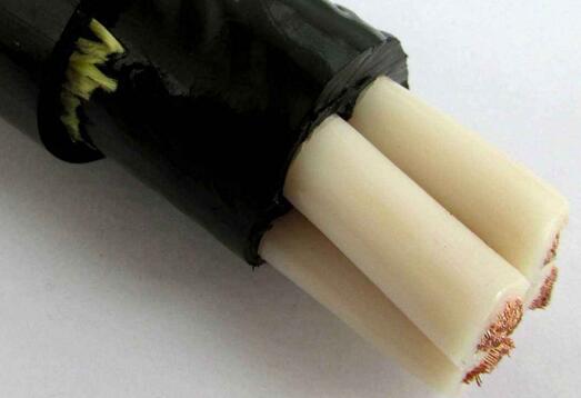 ɳ��������(�й�)�ٷ���վ -APP����