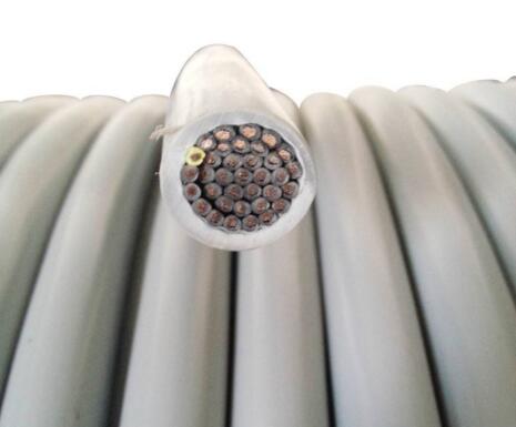 ɳ��������(�й�)�ٷ���վ -APP����