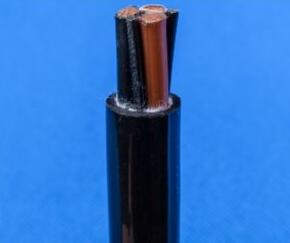 ɳ��������(�й�)�ٷ���վ -APP����