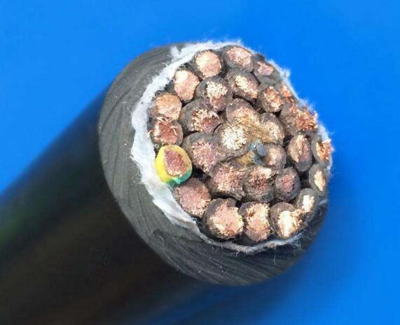 ɳ��������(�й�)�ٷ���վ -APP����