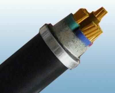 ɳ��������(�й�)�ٷ���վ -APP����